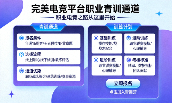完美电竞平台职业青训通道与训练计划页面